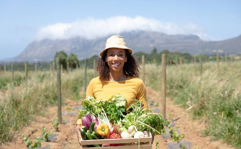 Verduras